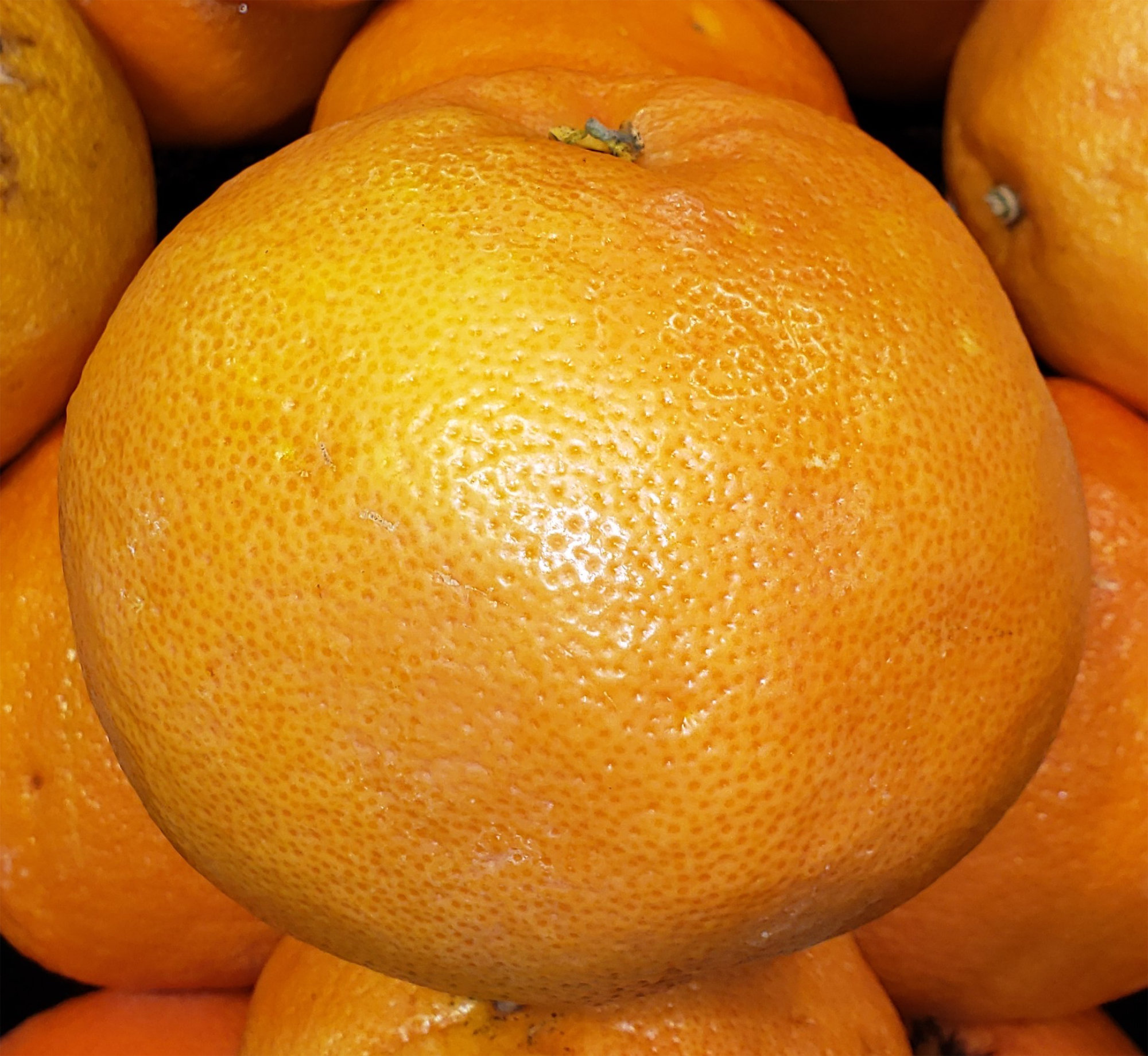 Grapefruit — Ruby/Red/Pink (ncludes Ray Ruby, Ruby, Ruby Red)