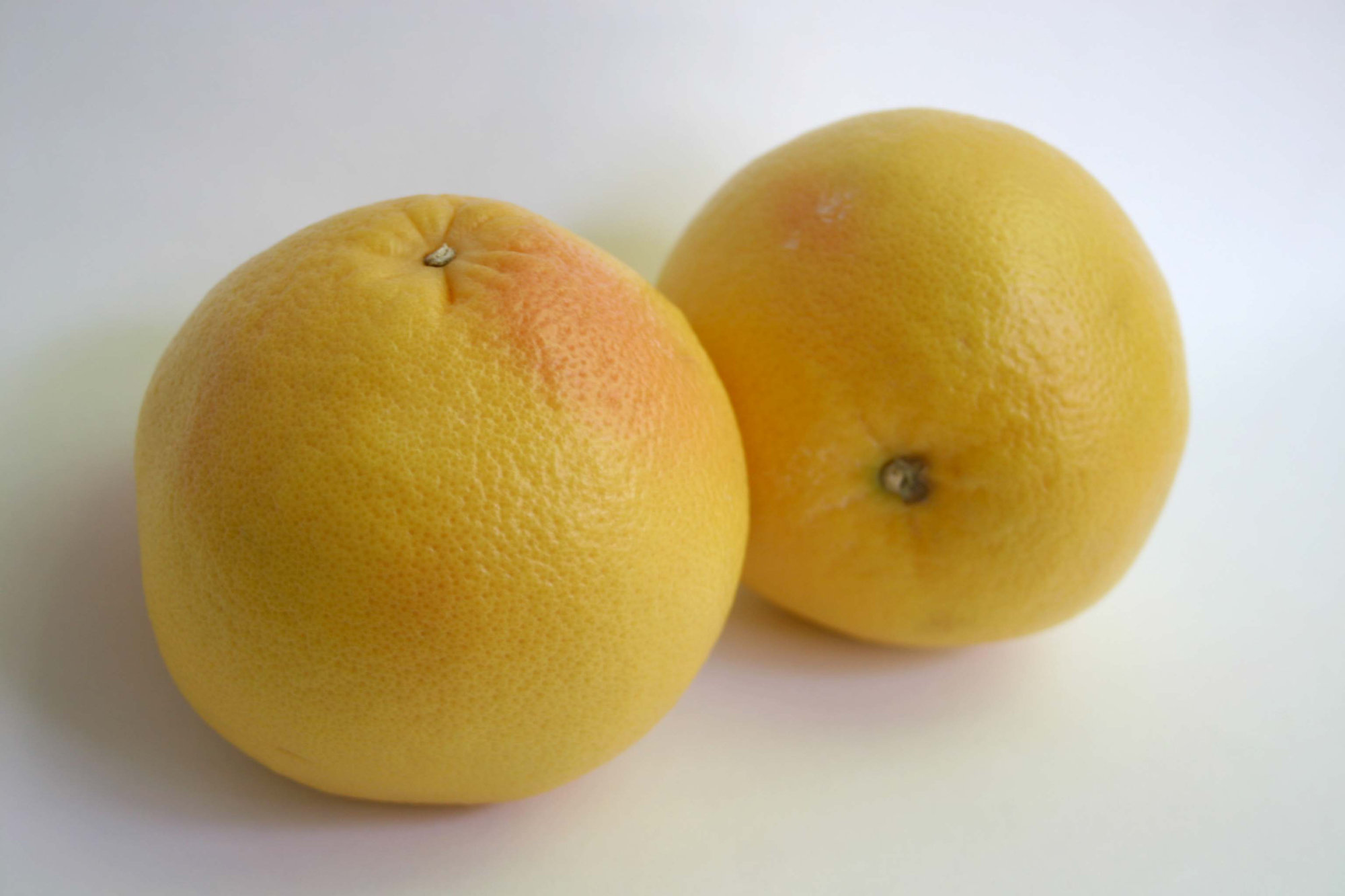 Grapefruit — White