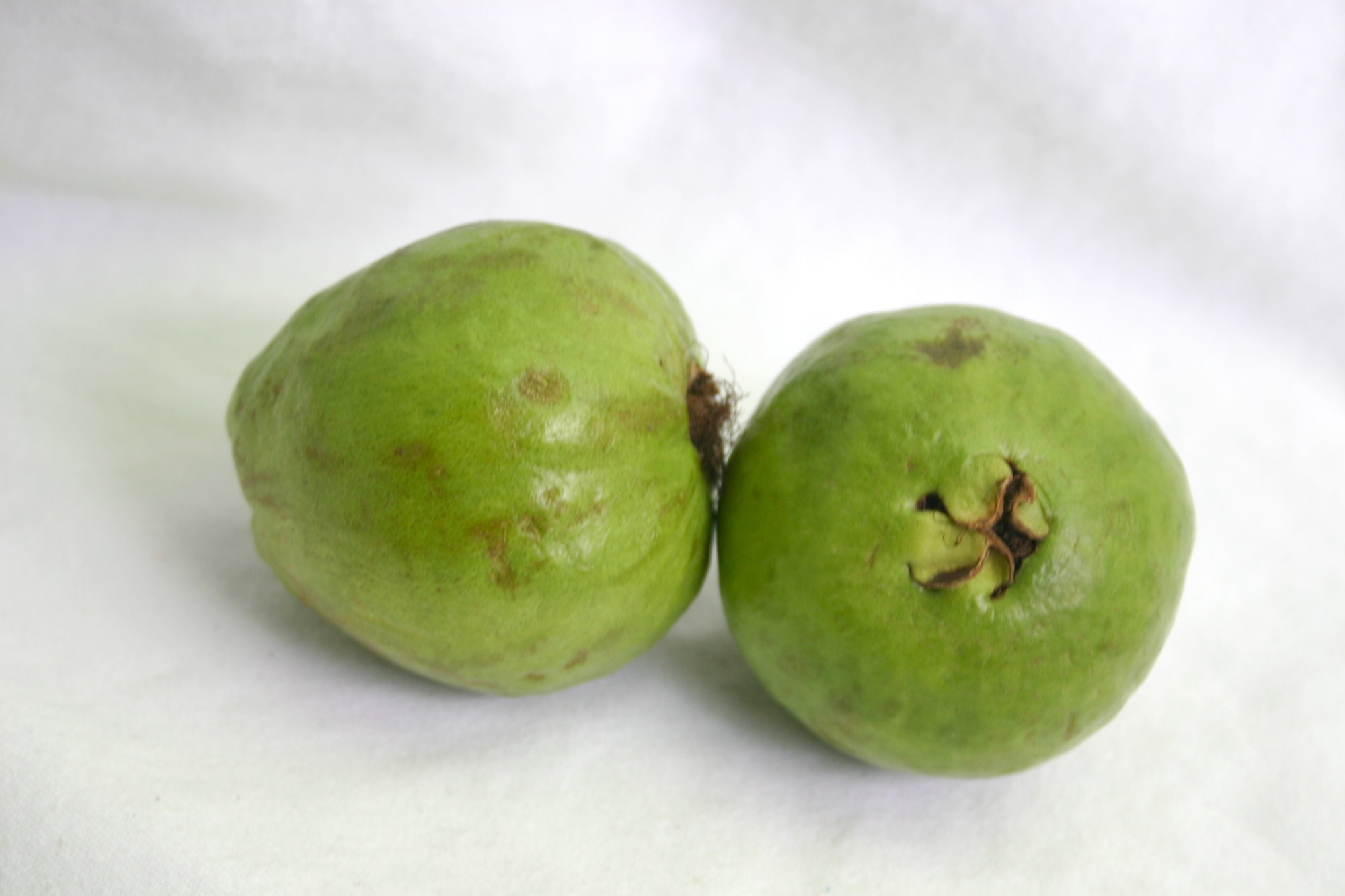 Guava