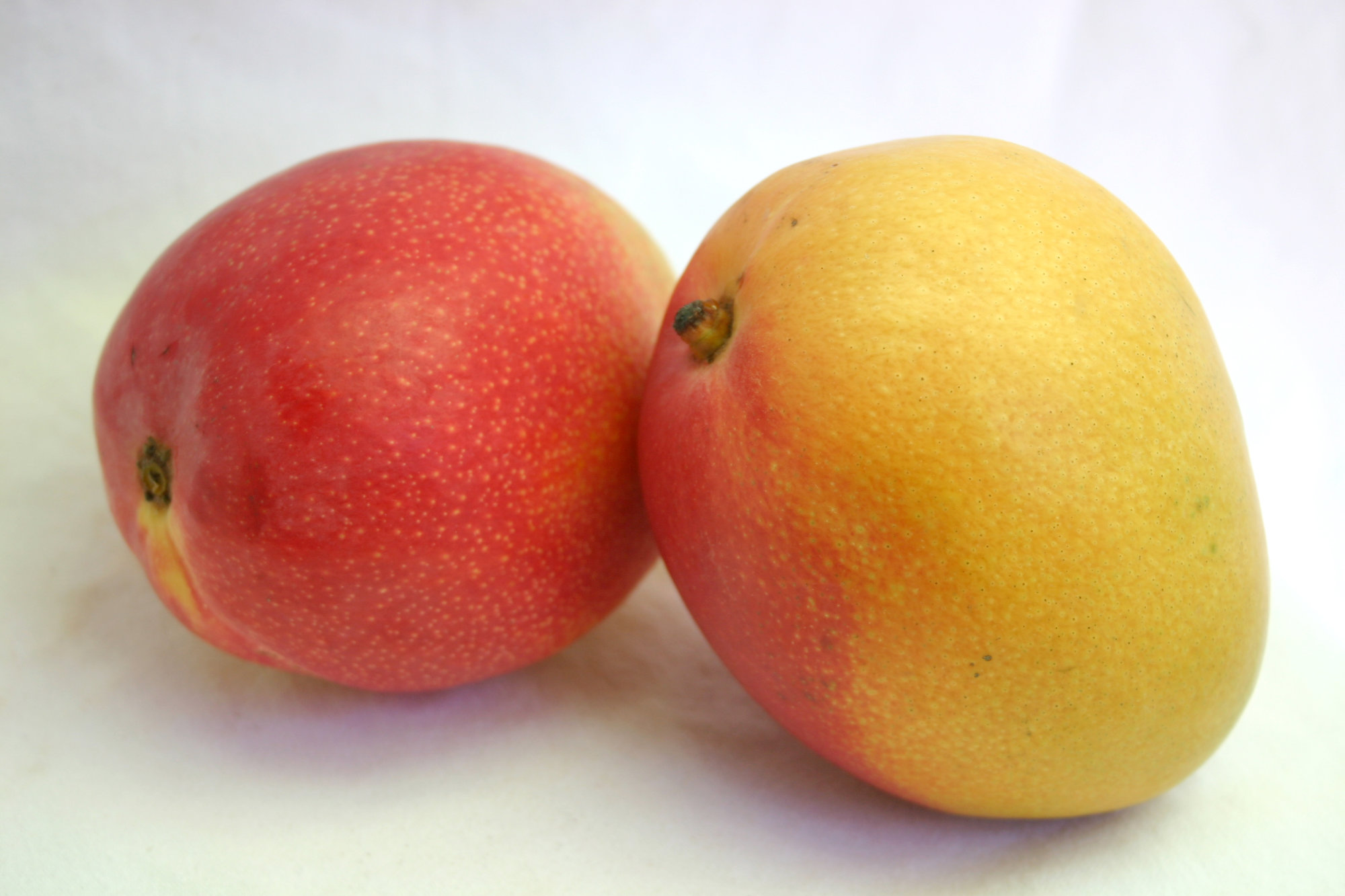 Mango — Green (Includes Keitt and Francis)