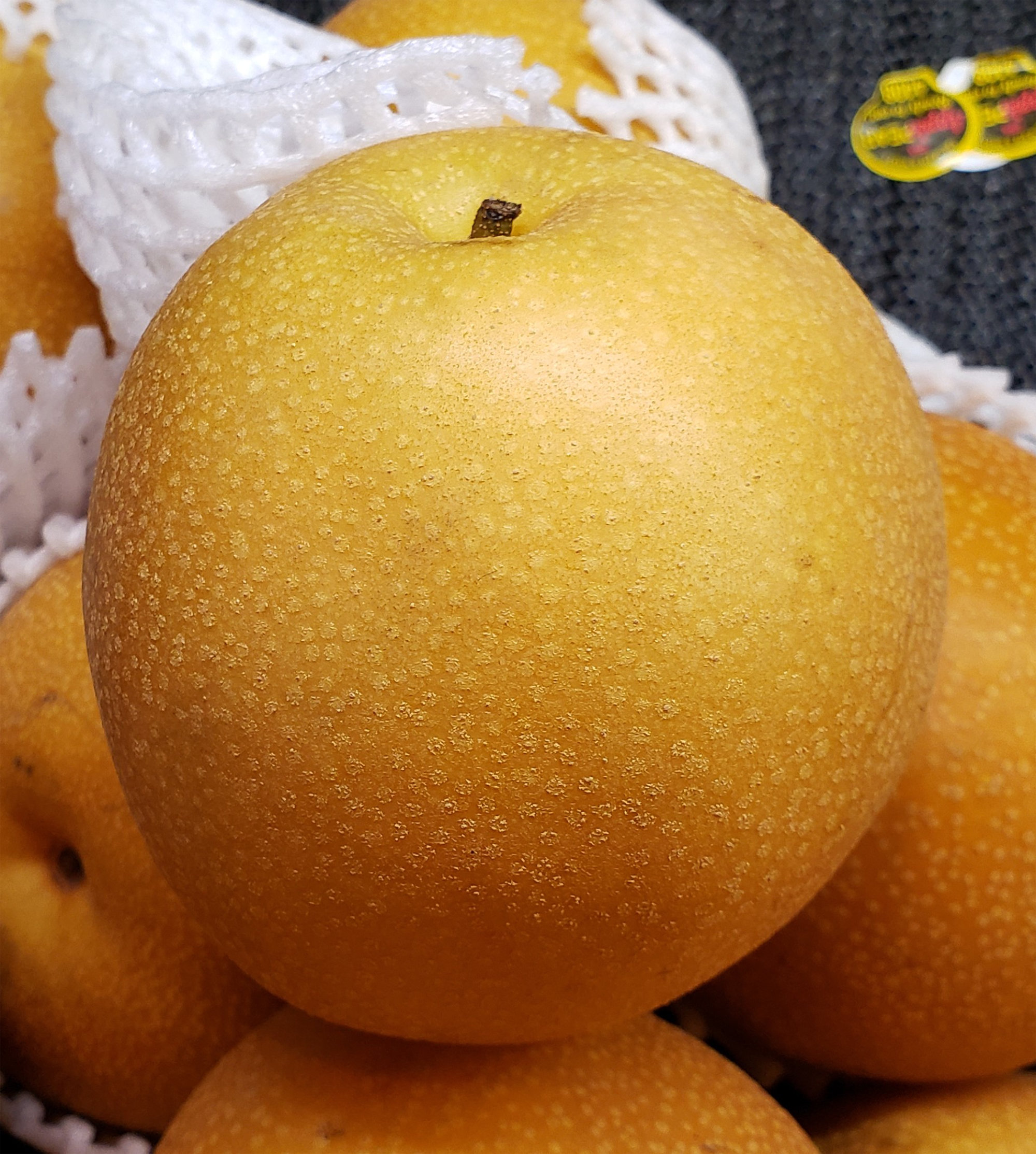 Pears — Asian/Nashi - Brown
