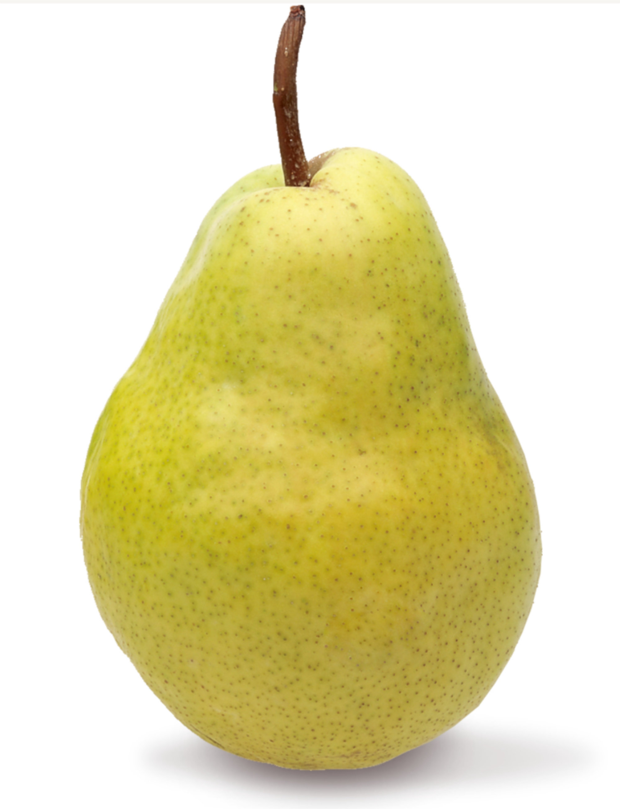 Pears — Bartlett/Williams/WBC