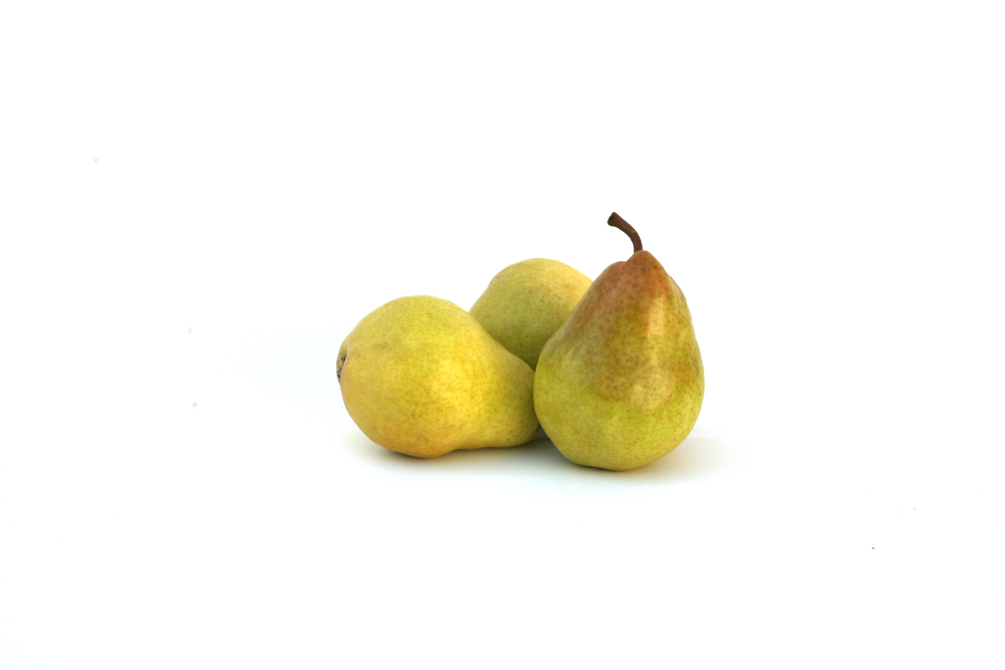 Pears — Anjou