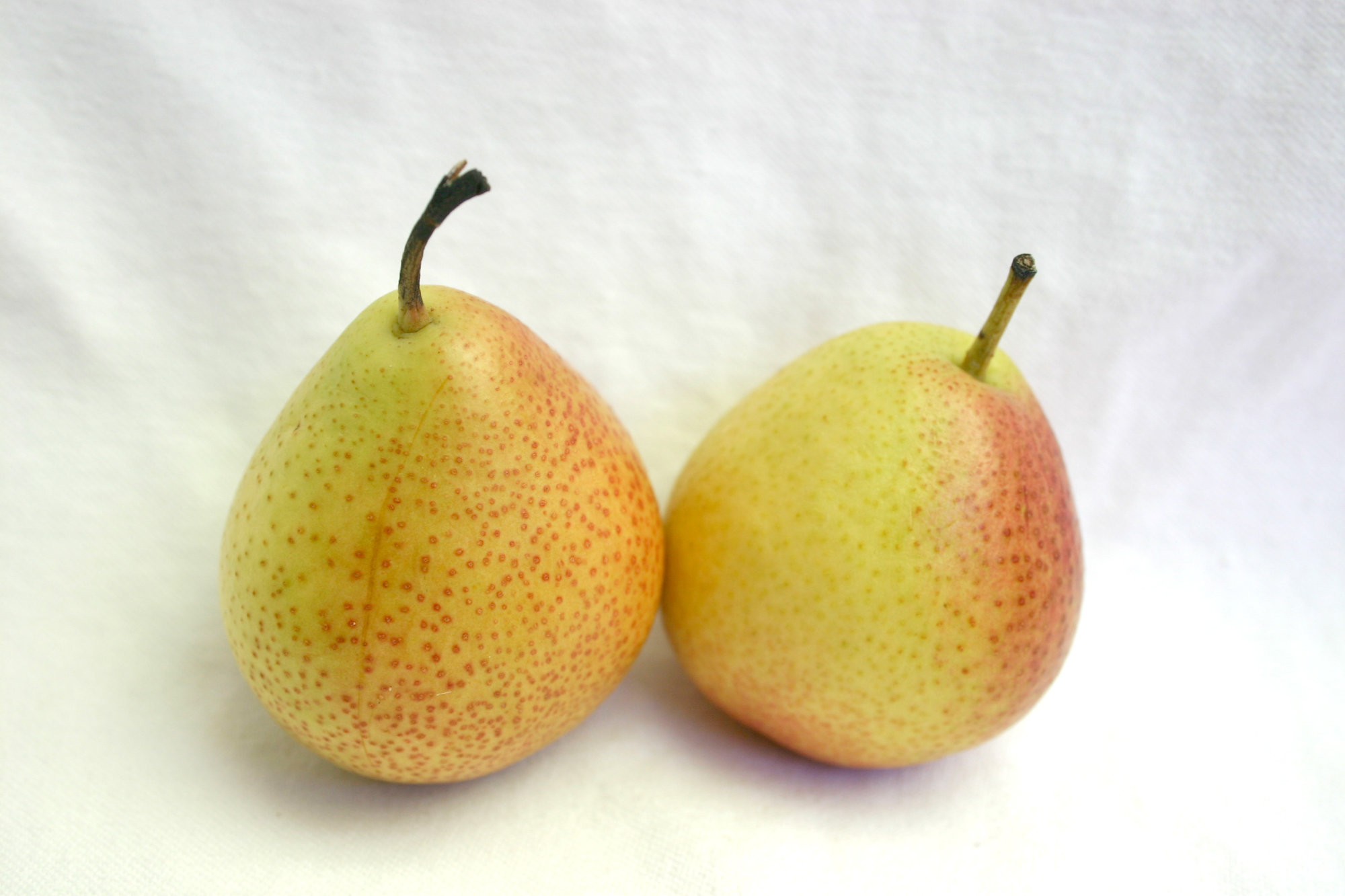 Pears — Forelle/Corella