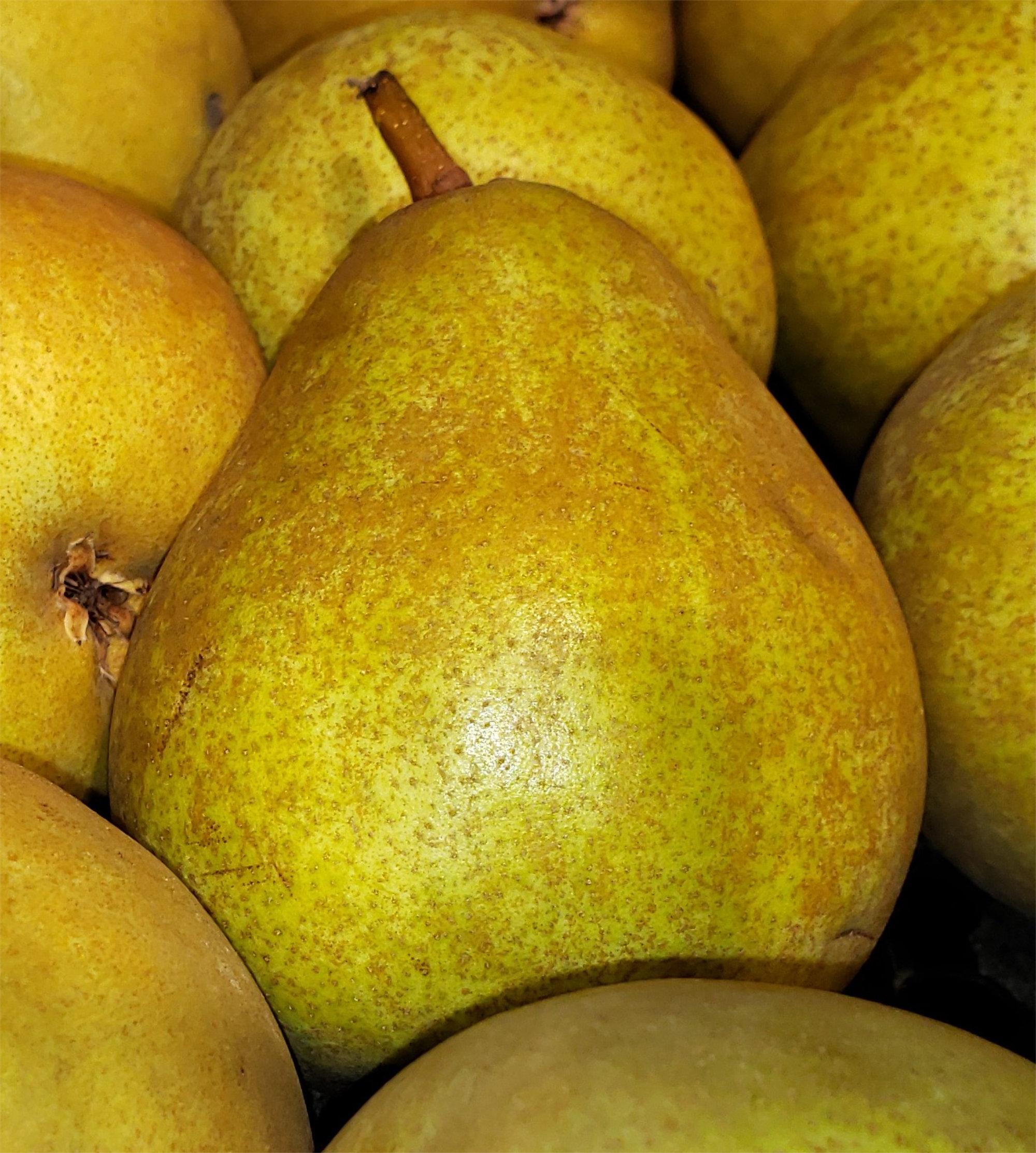 Pears — French