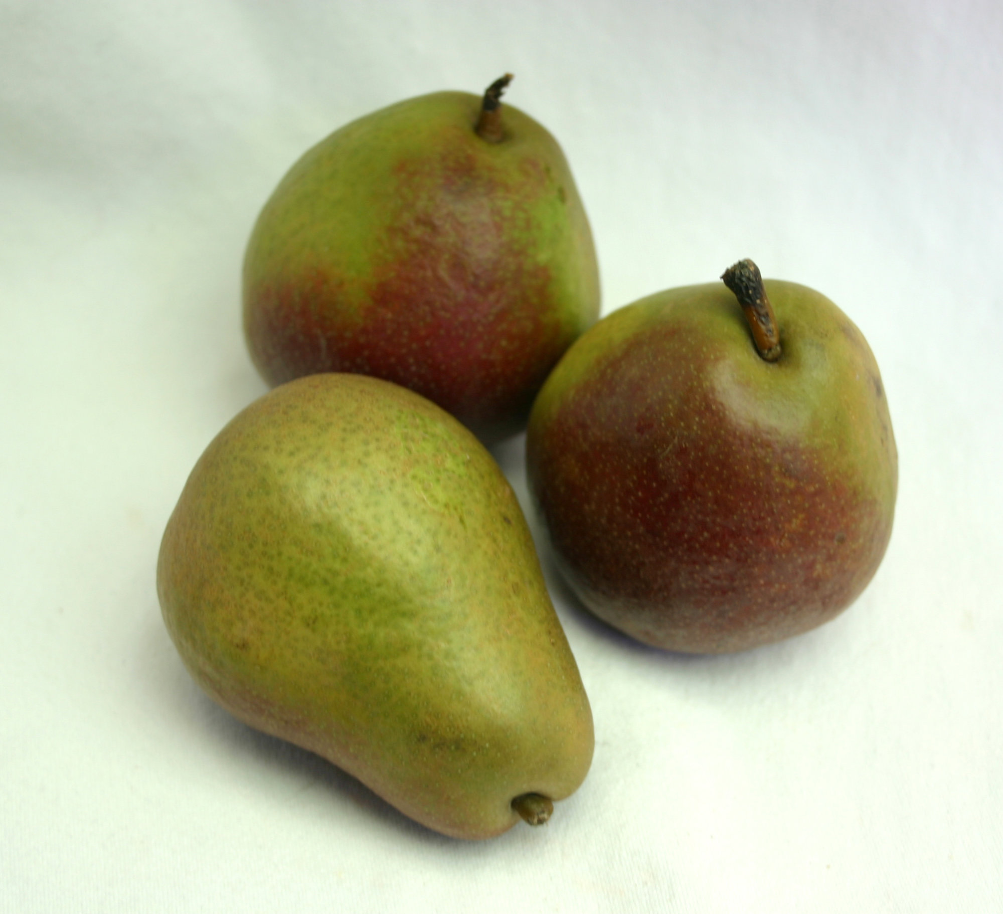 Pears — Seckel