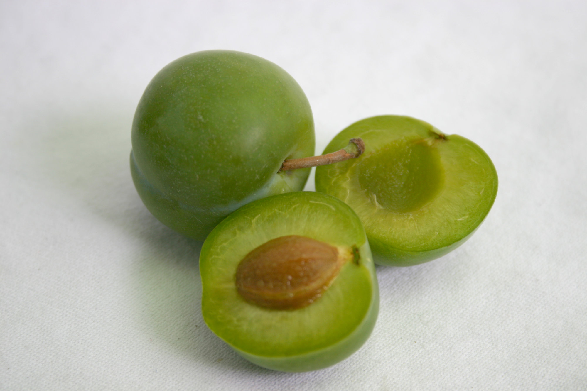 Plums — Green (Includes Dolly, Kelsey, Wickson)