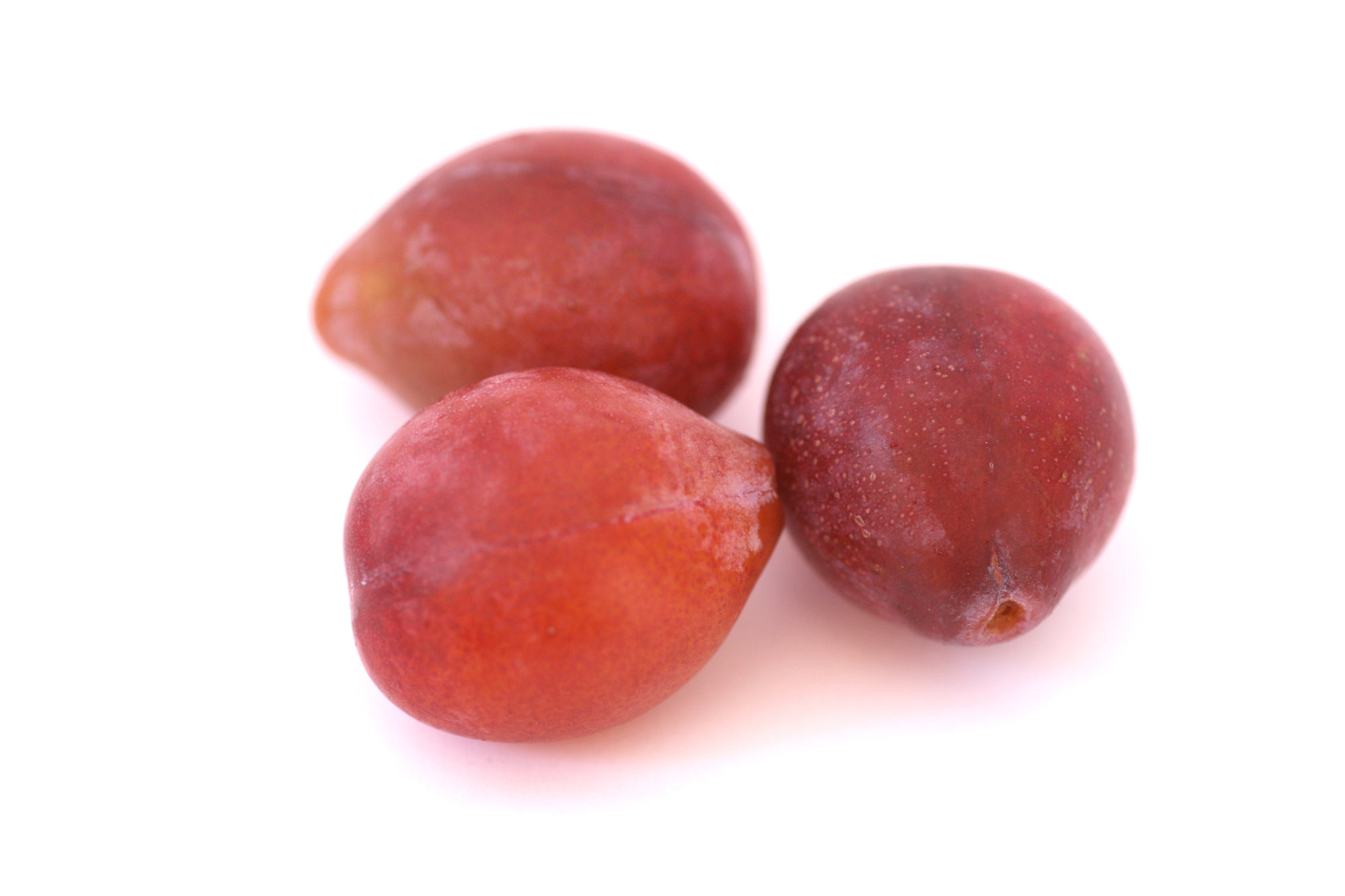Plums — Italian Prune/Sugar