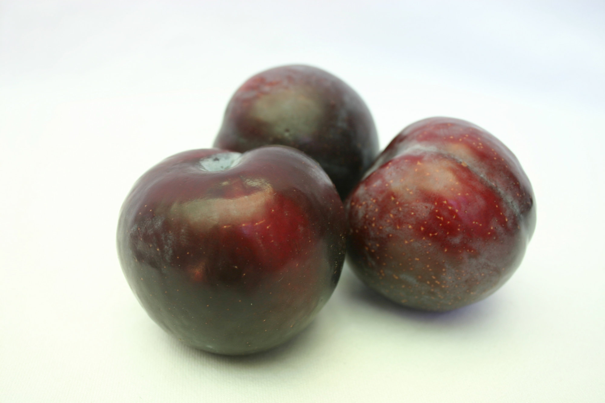 Plums — Tree Ripened