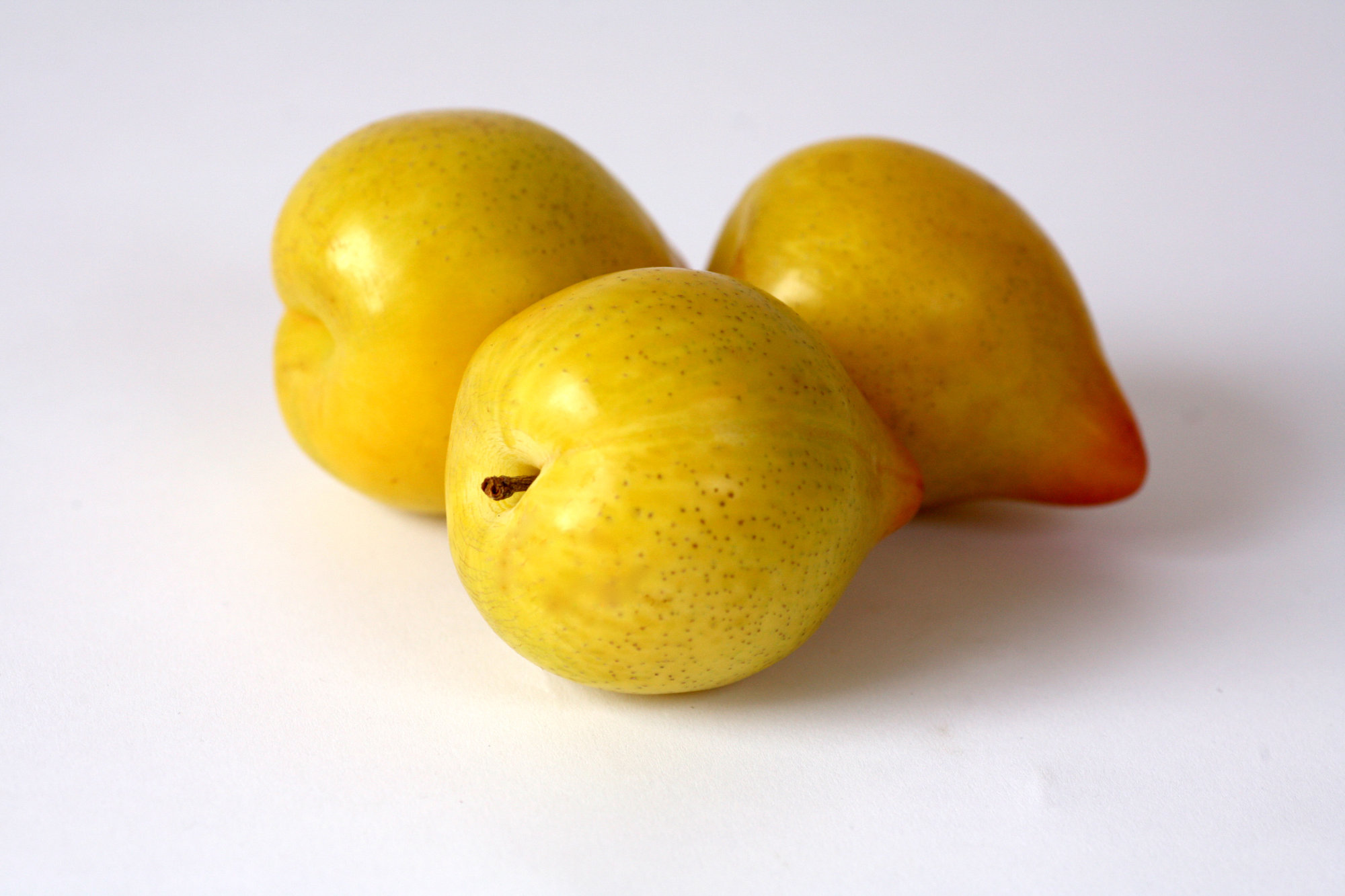 Plums — Yellow (Includes Golden Globe)