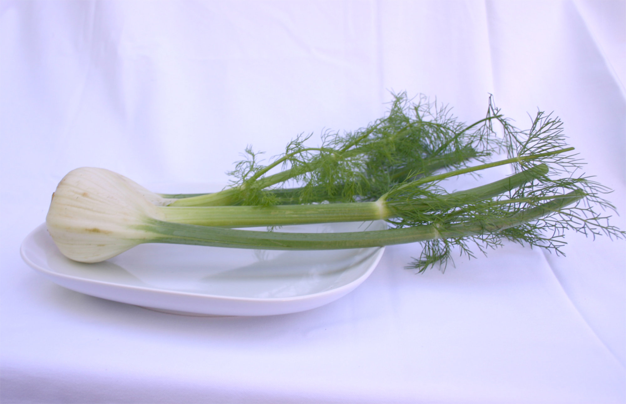 Fennel — Florence/Sweet Fennel/Fennel Bulb