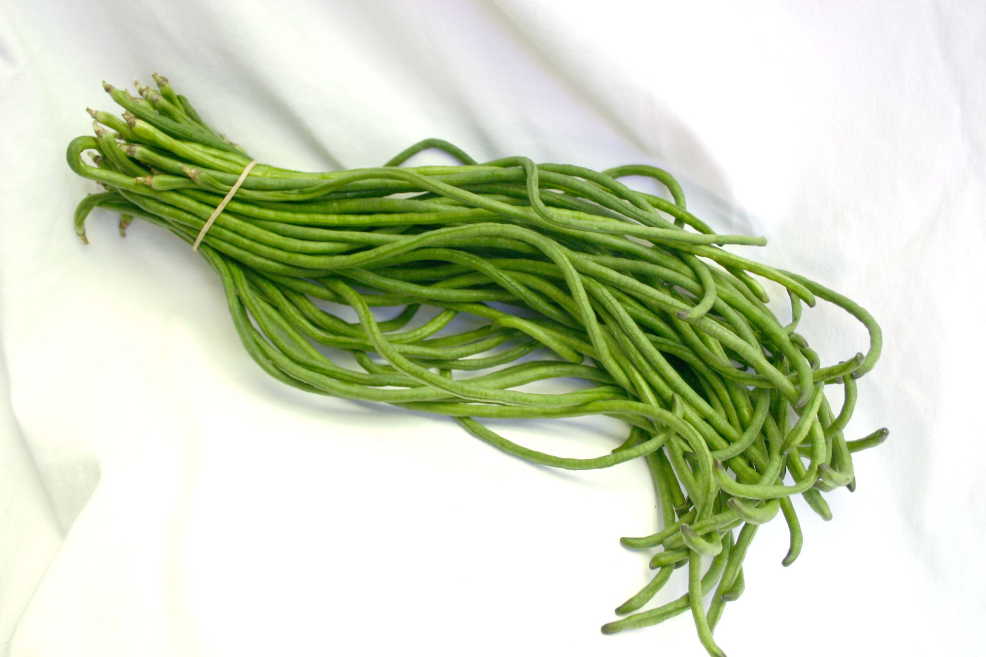 Beans — Chinese Long/Snake