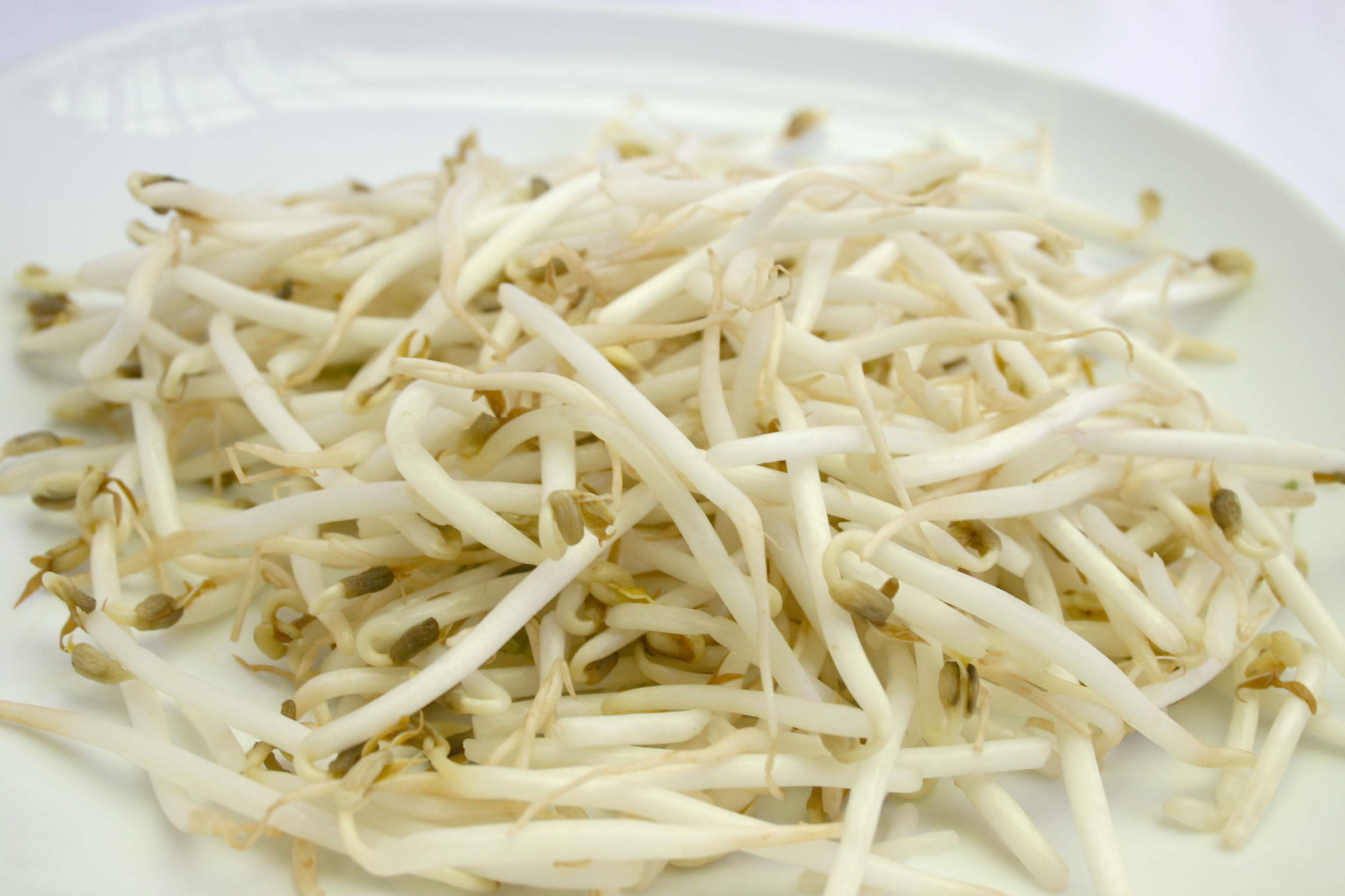 Bean Sprouts — Mung Bean Sprouts