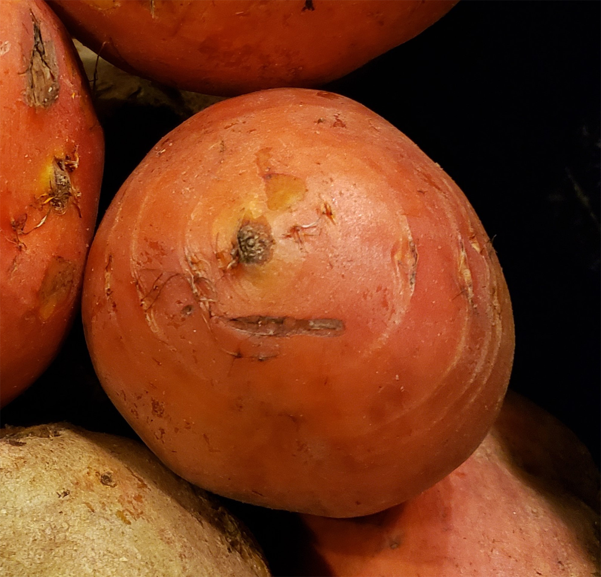 Beets — Baby Golden