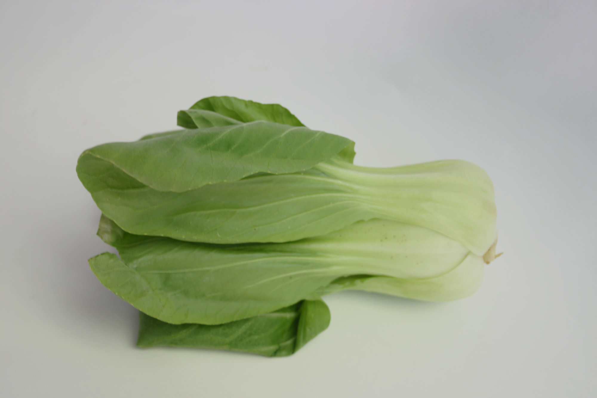 Bok Choy (Pak Choi) — Small/Baby