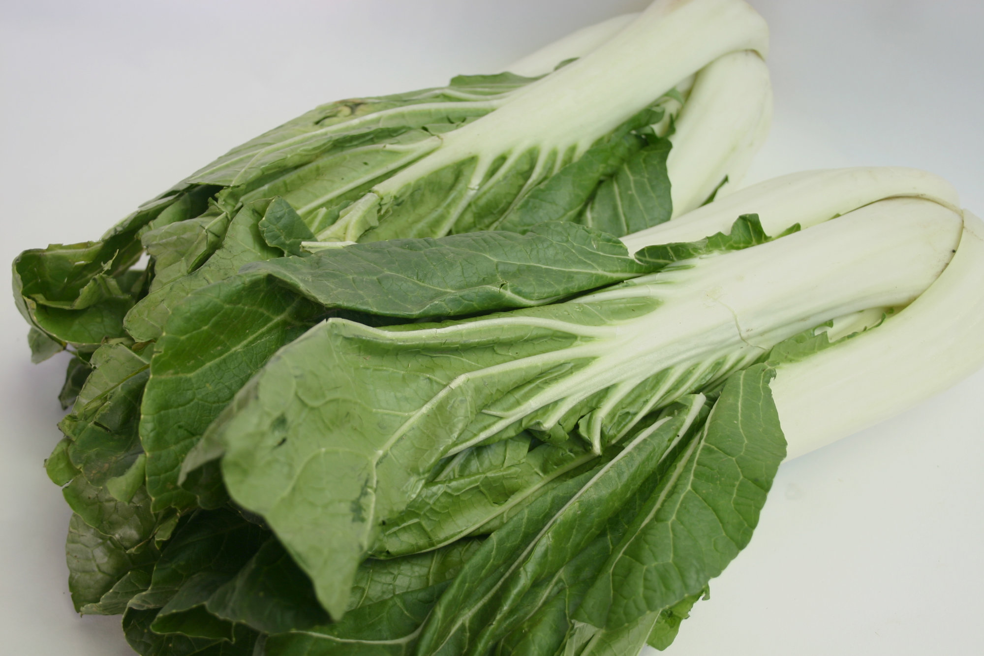 Bok Choy (Pak Choi)