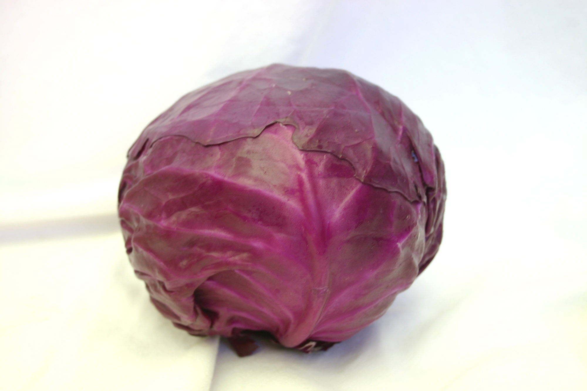 Cabbage — Red