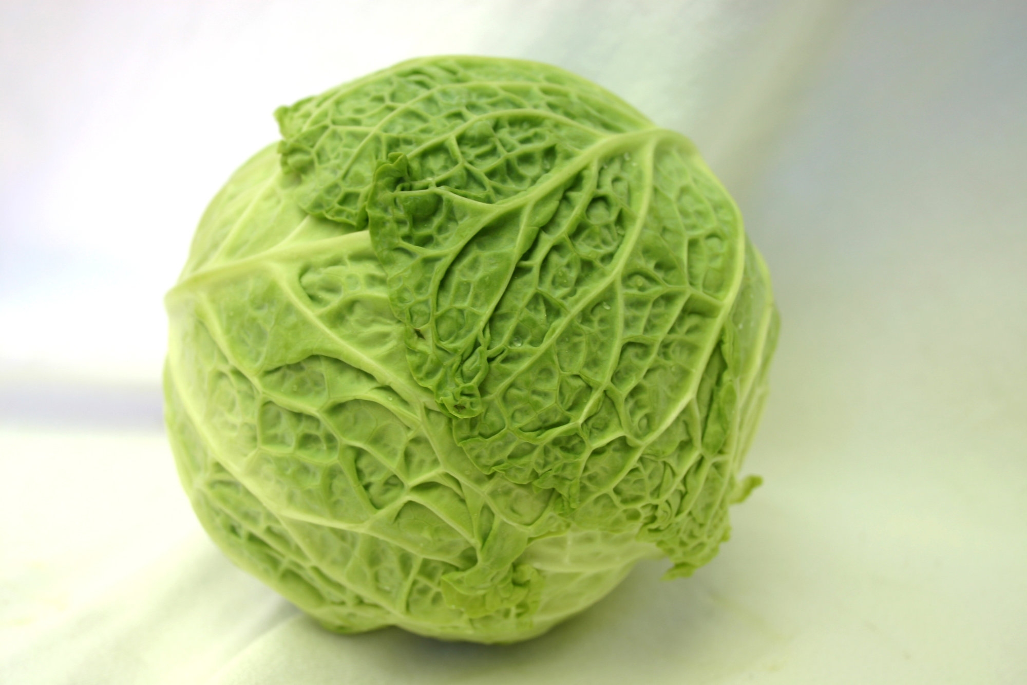 Cabbage — Savoy, Green
