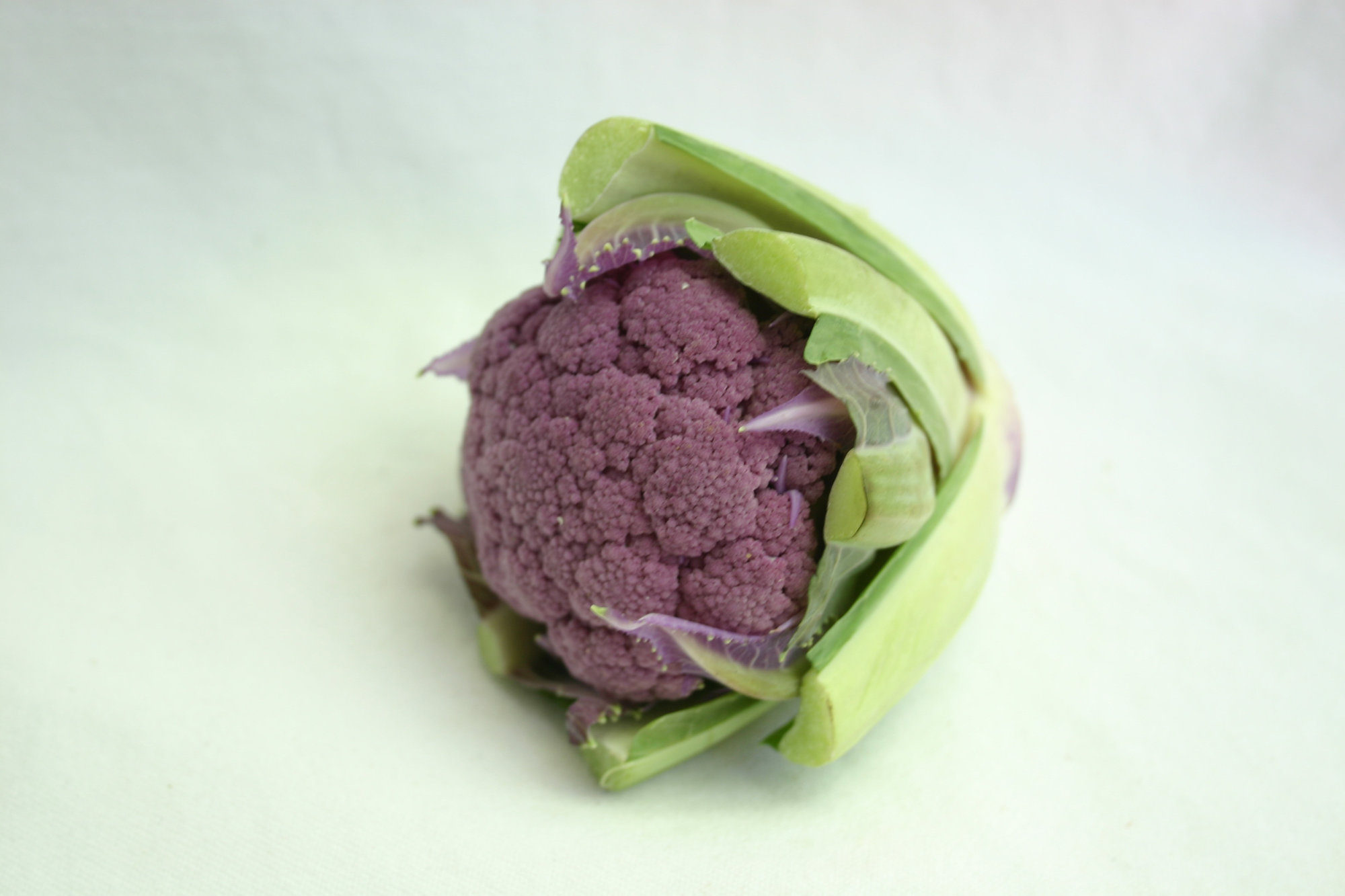 Cauliflower — Purple