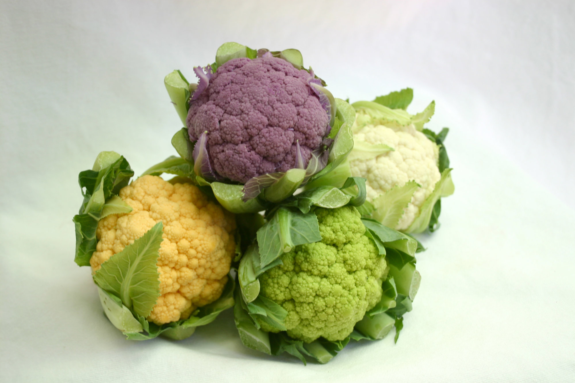 Cauliflower — Baby