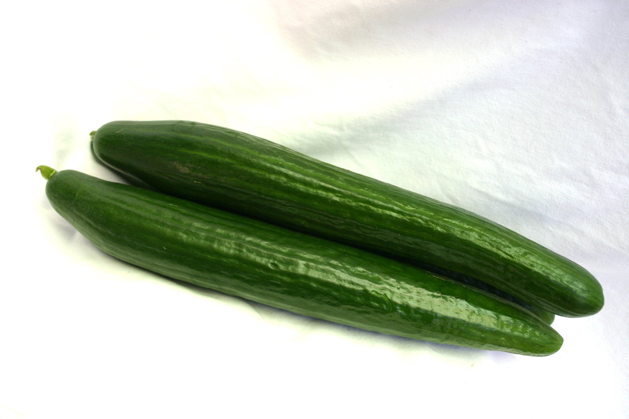Cucumber — English/Hot House/Long Seedless/Telegraph/Continental