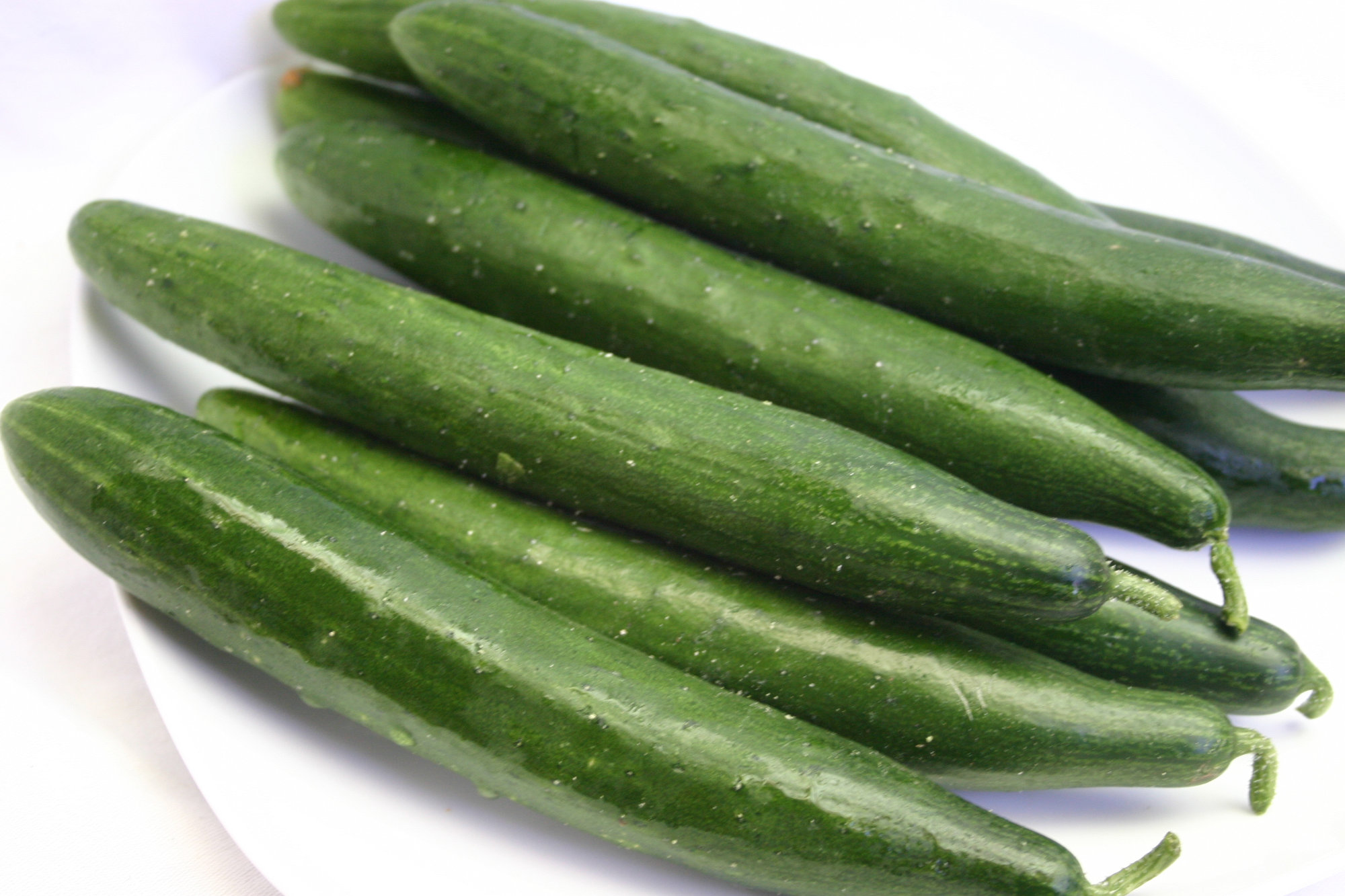 Cucumber — Japanese/White