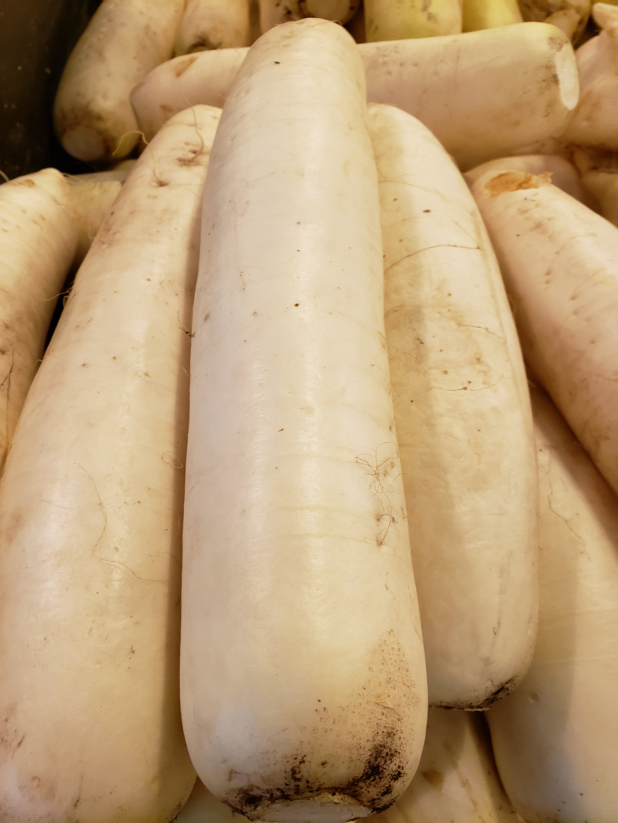 Daikon — (See also RADISH)