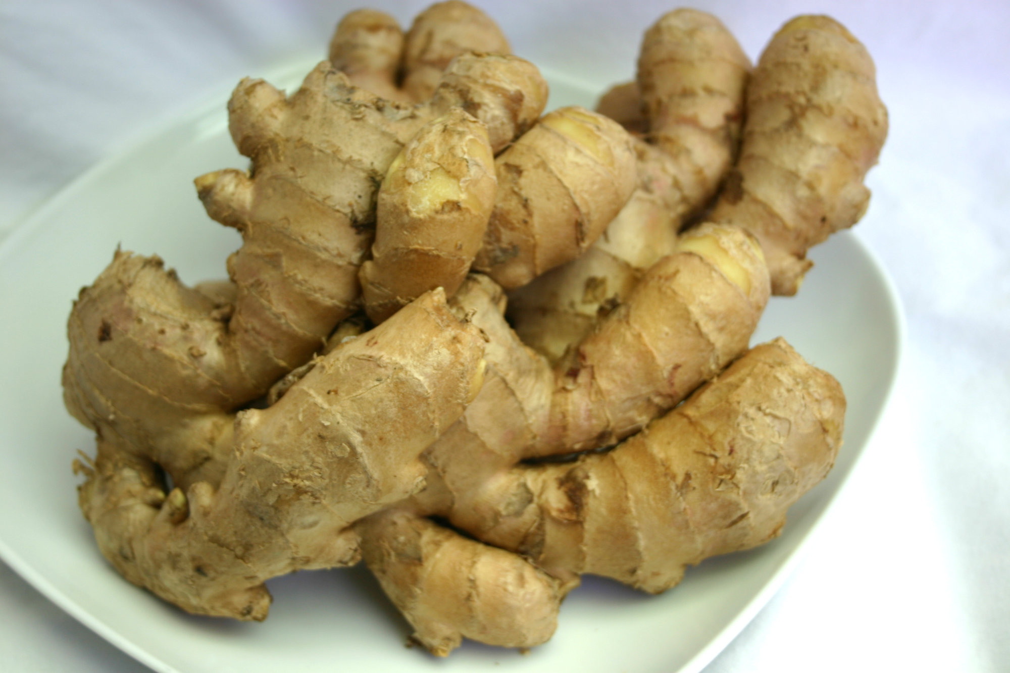 Ginger Root — Regular