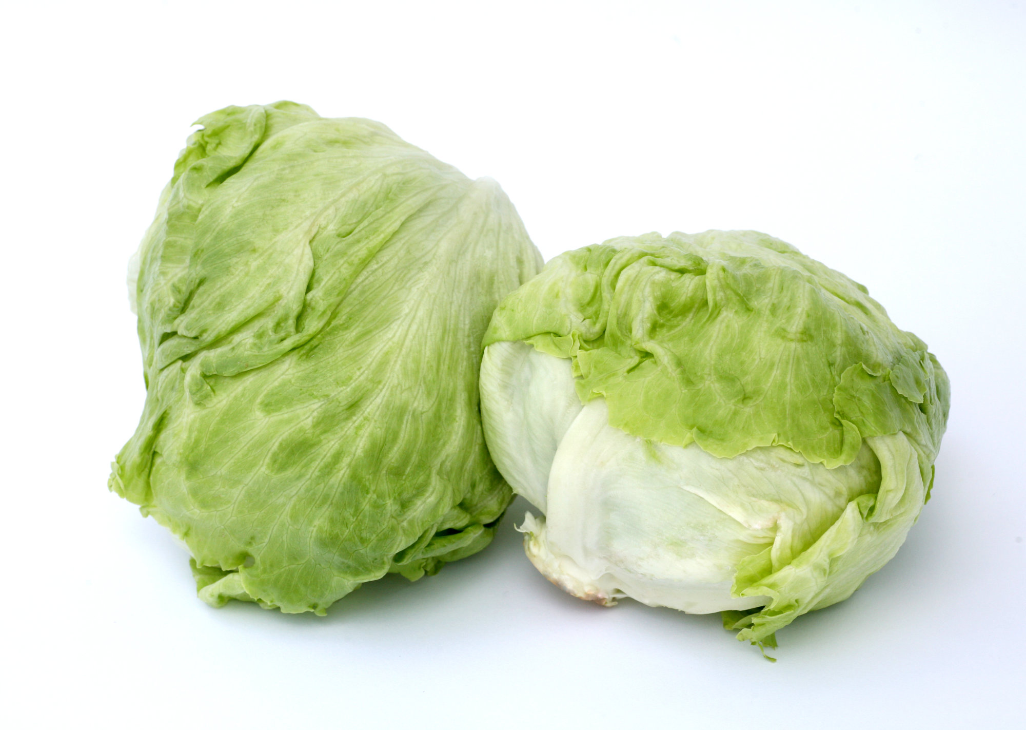 Lettuce — Iceberg