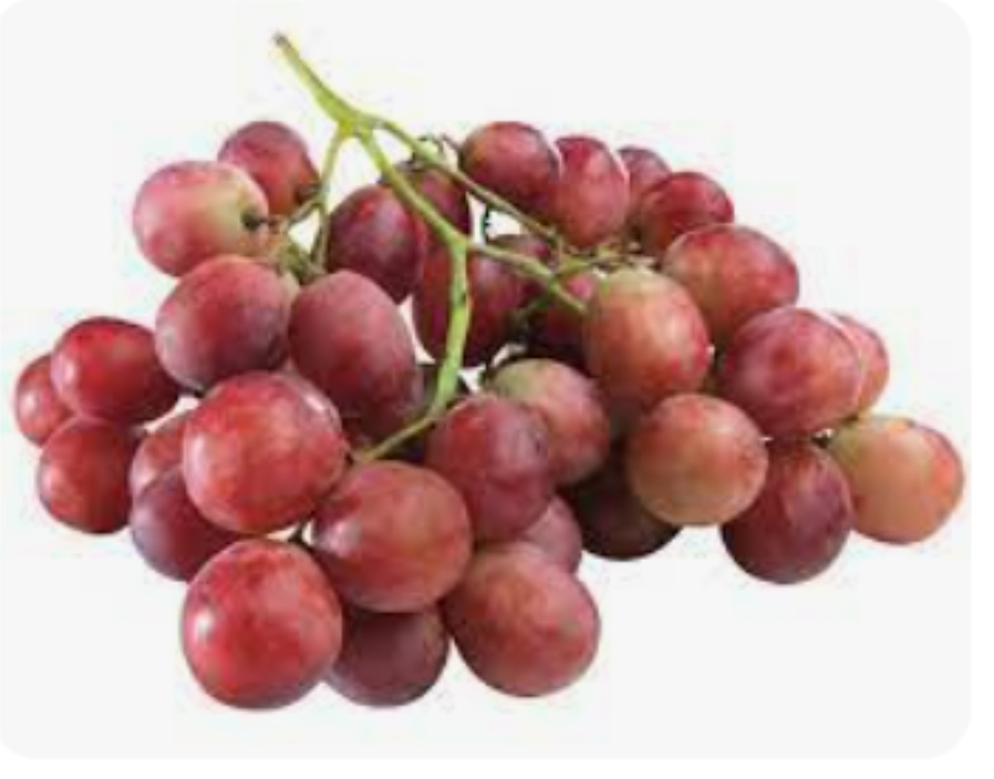 Grapes — Red Globe