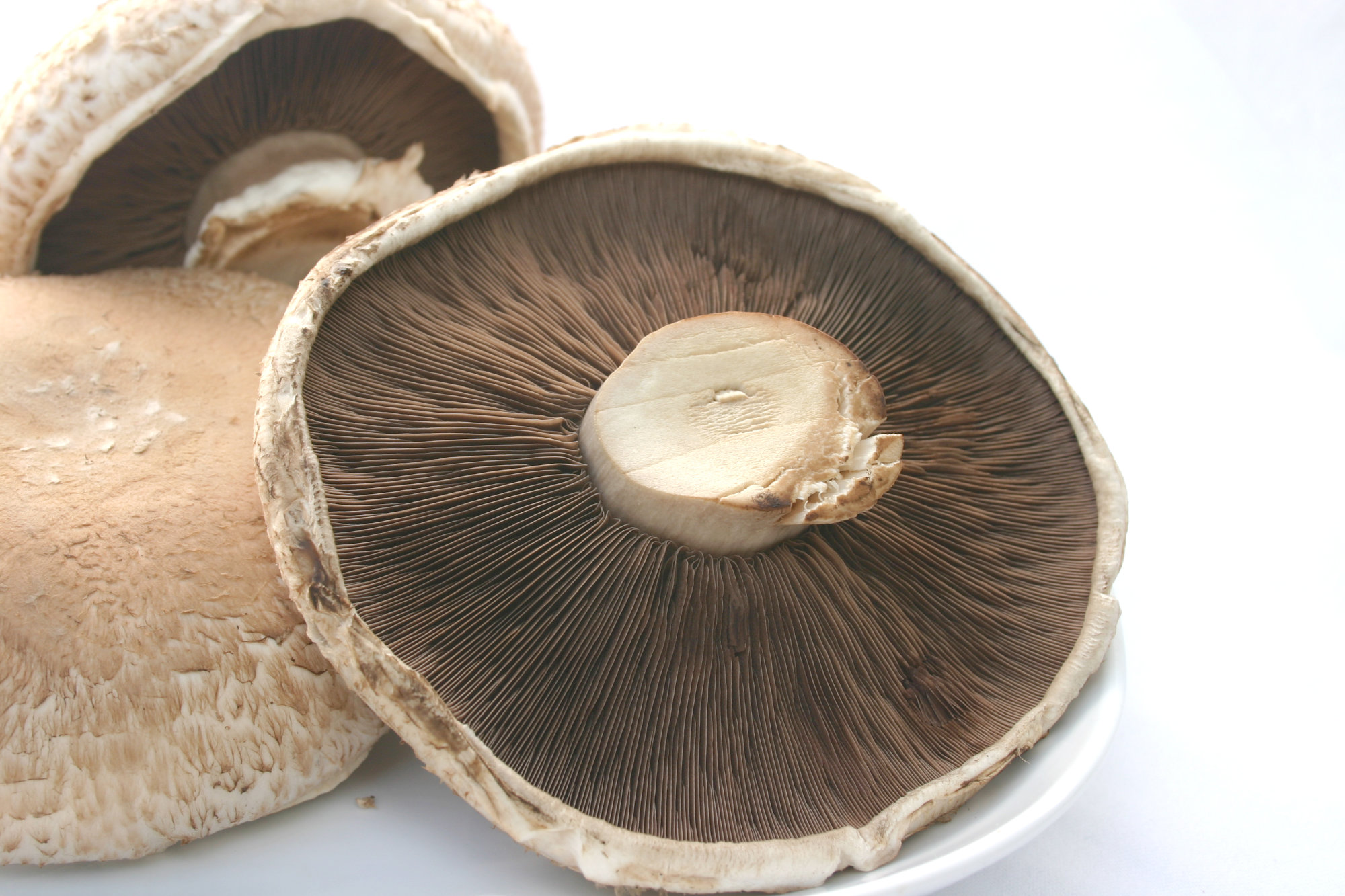 Mushrooms — Portabella (Synonymous with Cremini, Brown, Swiss Brown Mushrooms)