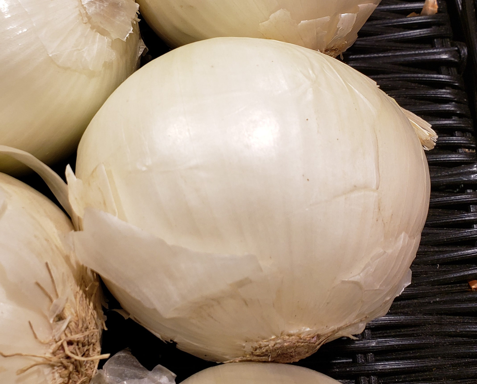 Onions — White