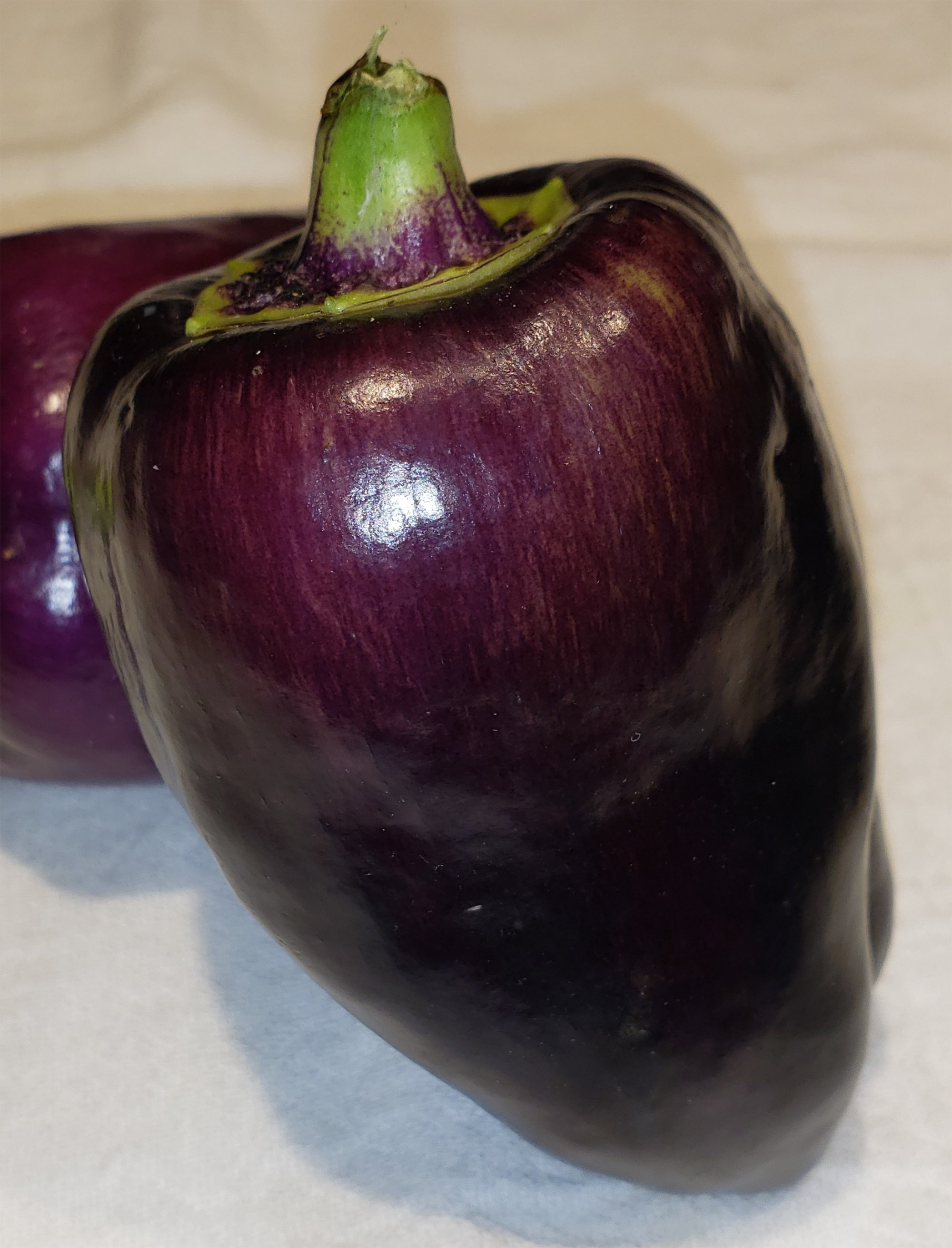 Peppers (Capsicums) — Bell, Field Grown - Purple