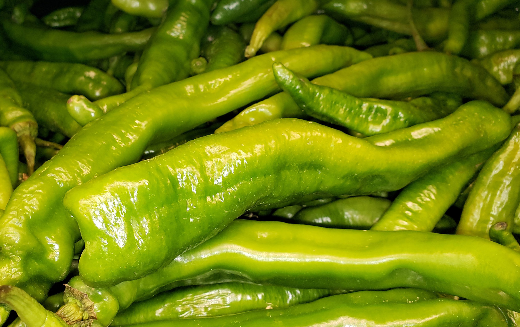 Peppers (Capsicums) — Long Hot - Green