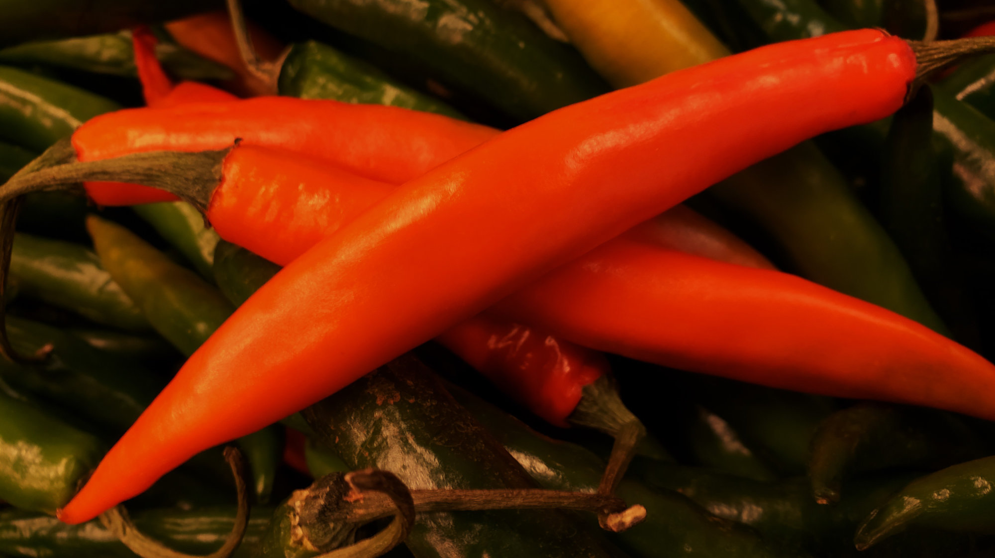 Peppers (Capsicums) — Red Finger