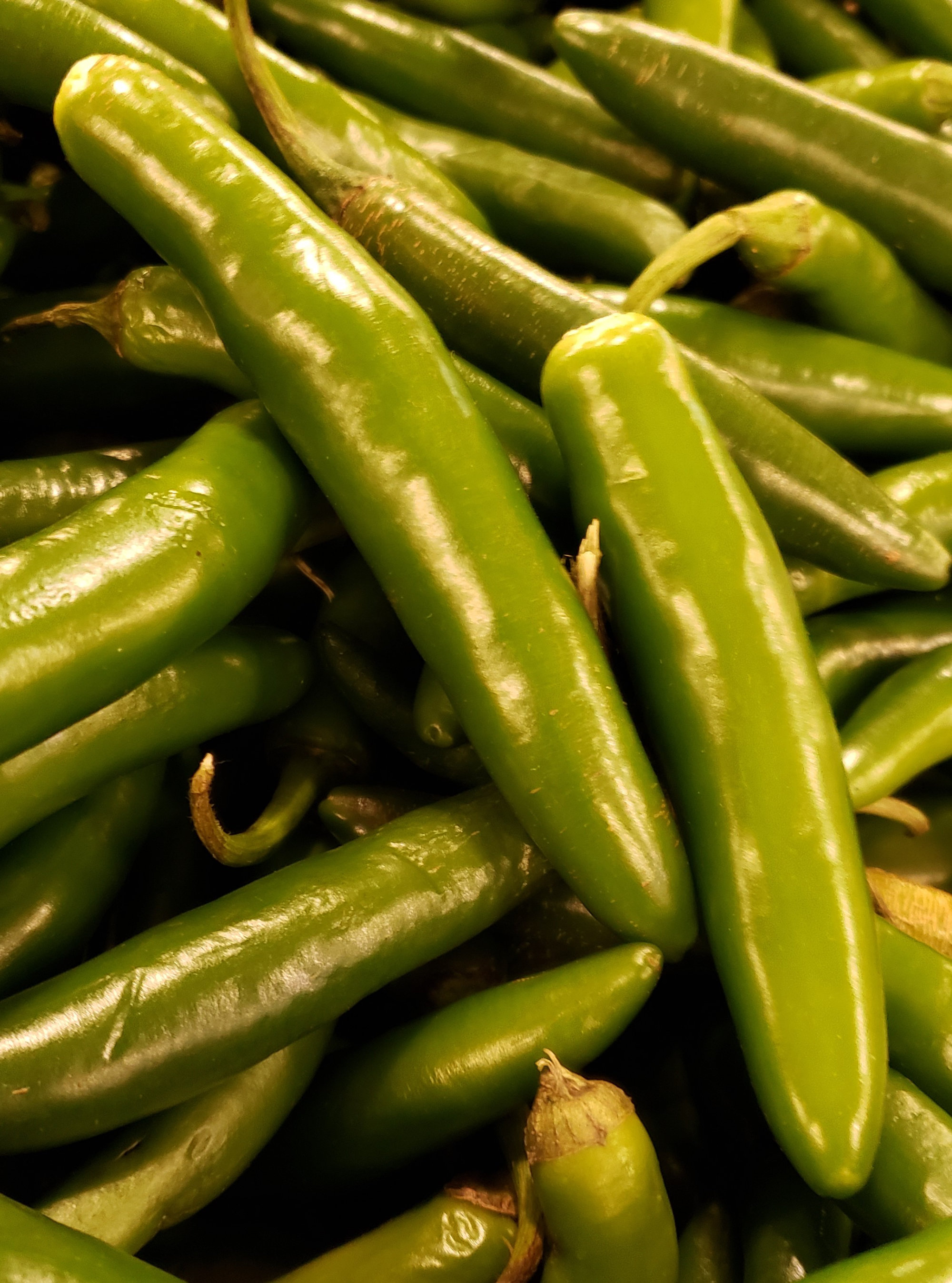 Peppers (Capsicums) — Serrano