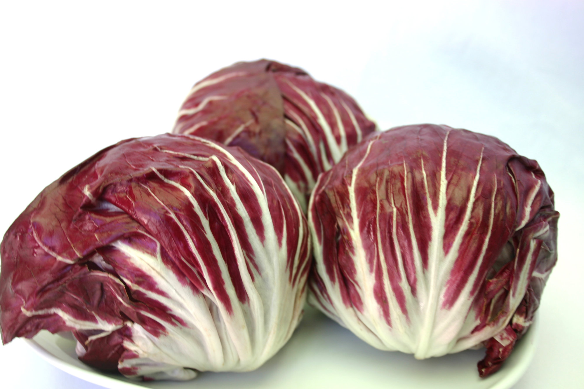 Radicchio