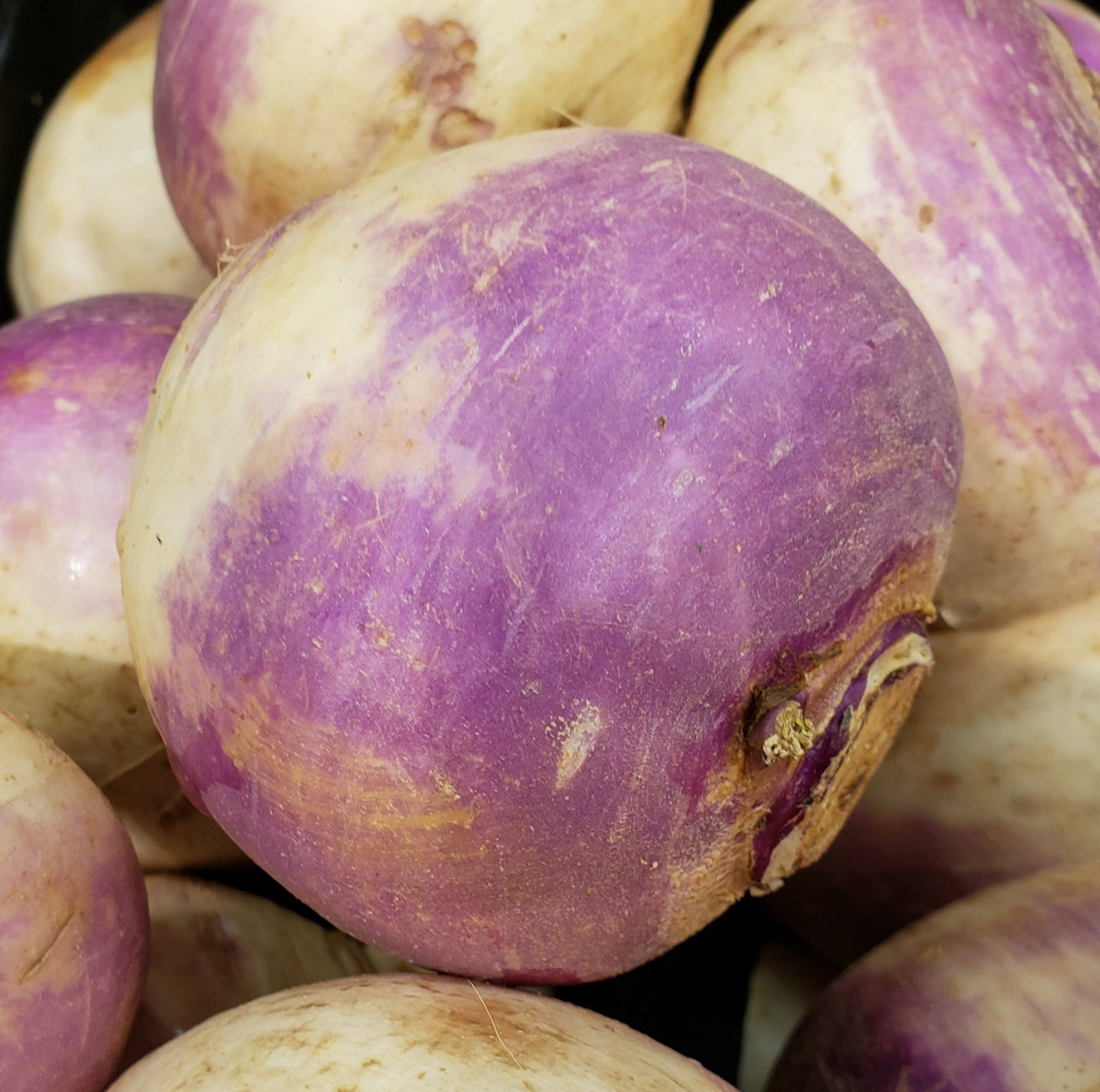 Rutabagas (Swede) — Regular