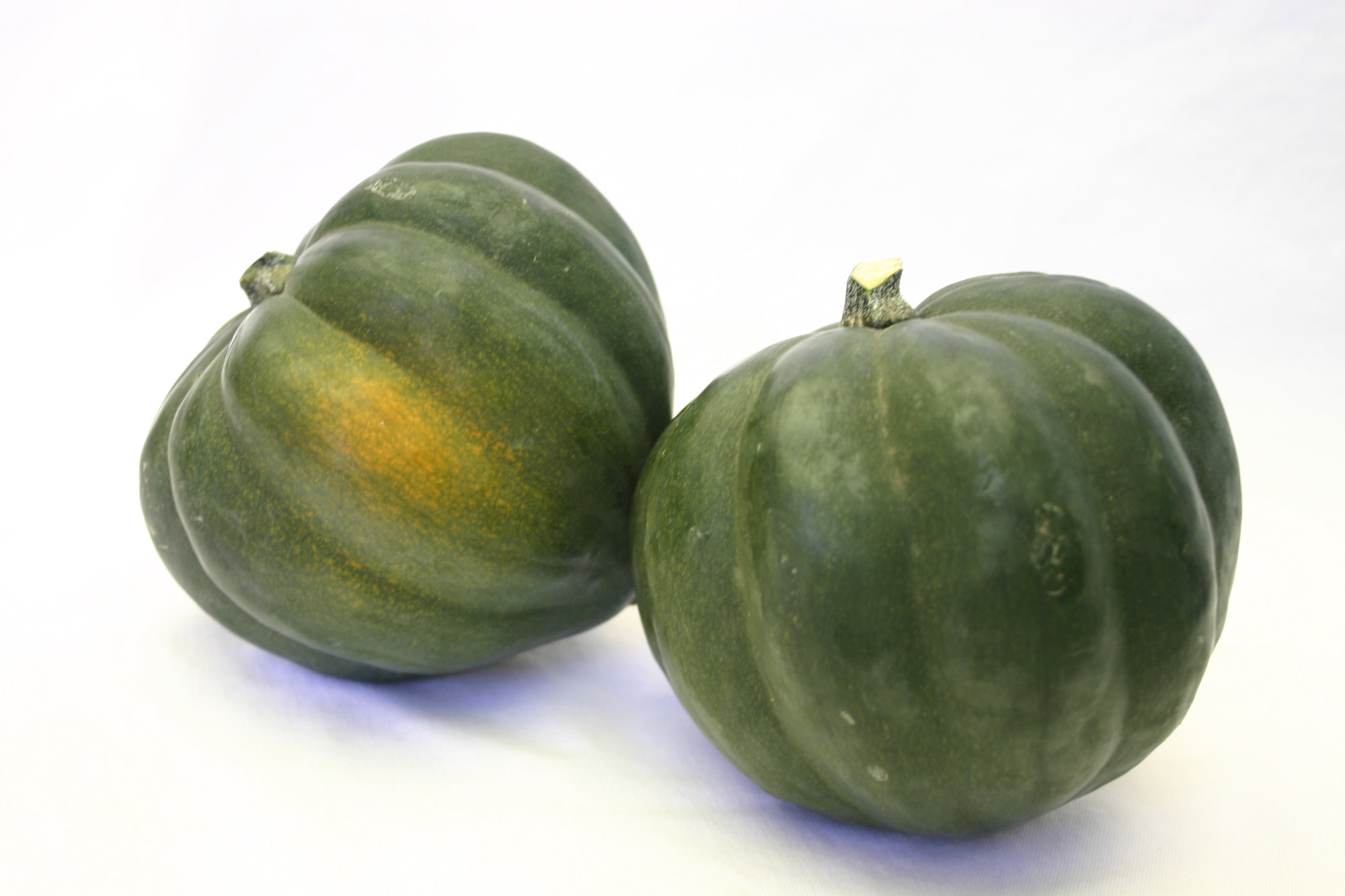 Squash — Acorn/Table Queen