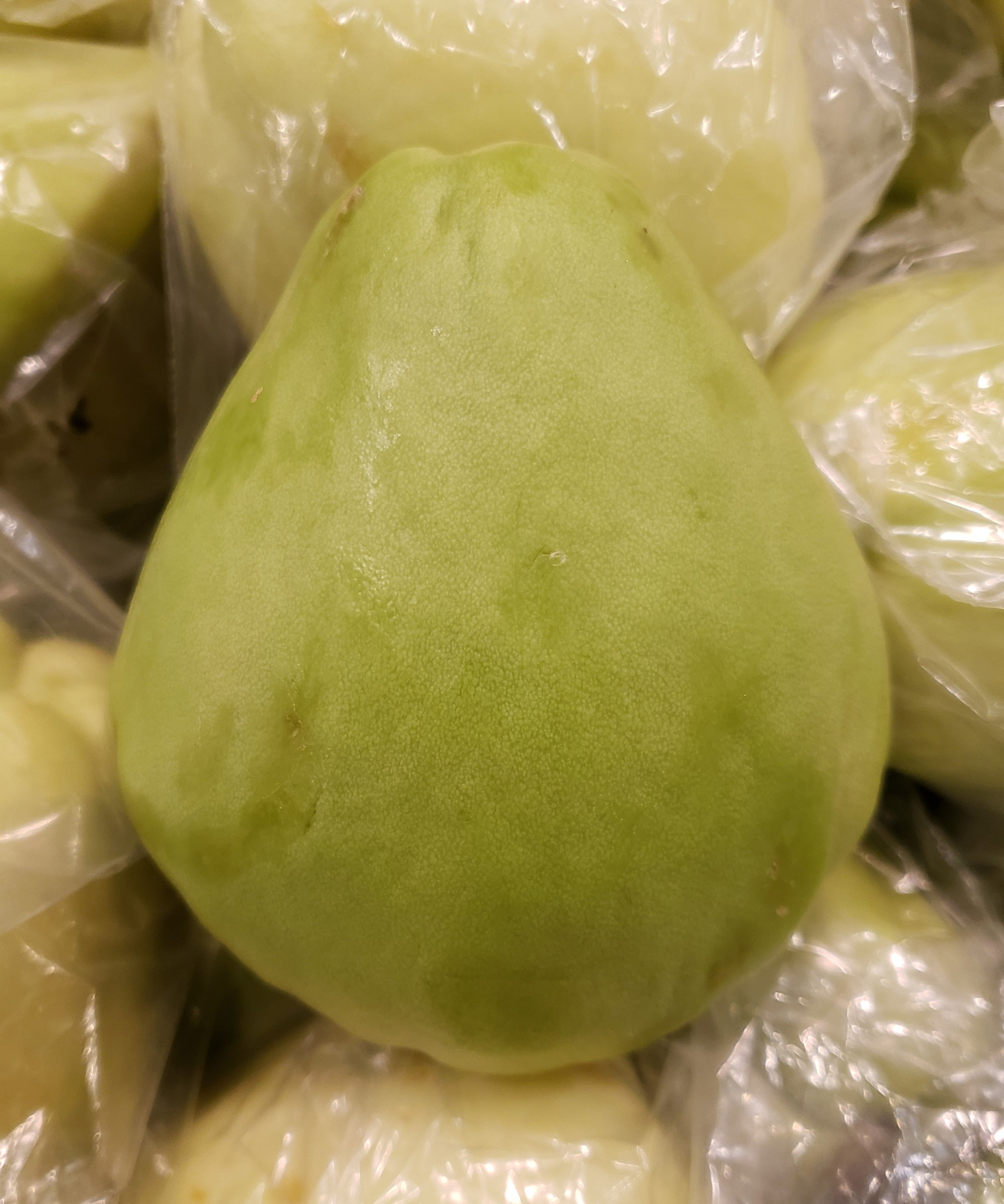 Squash — Chayote/Choko