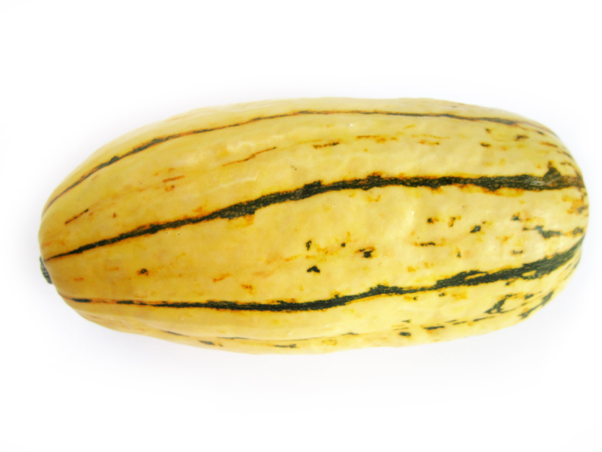 Squash — Delicata/Sweet Potato