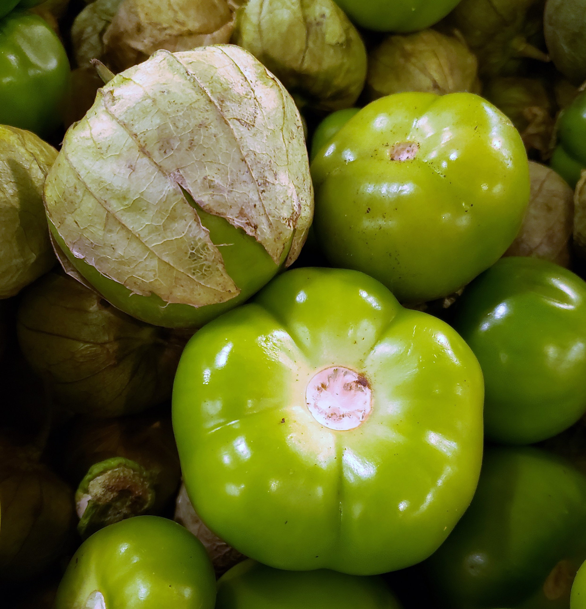 Tomatoes — Tomatillos/Husk Tomatoes