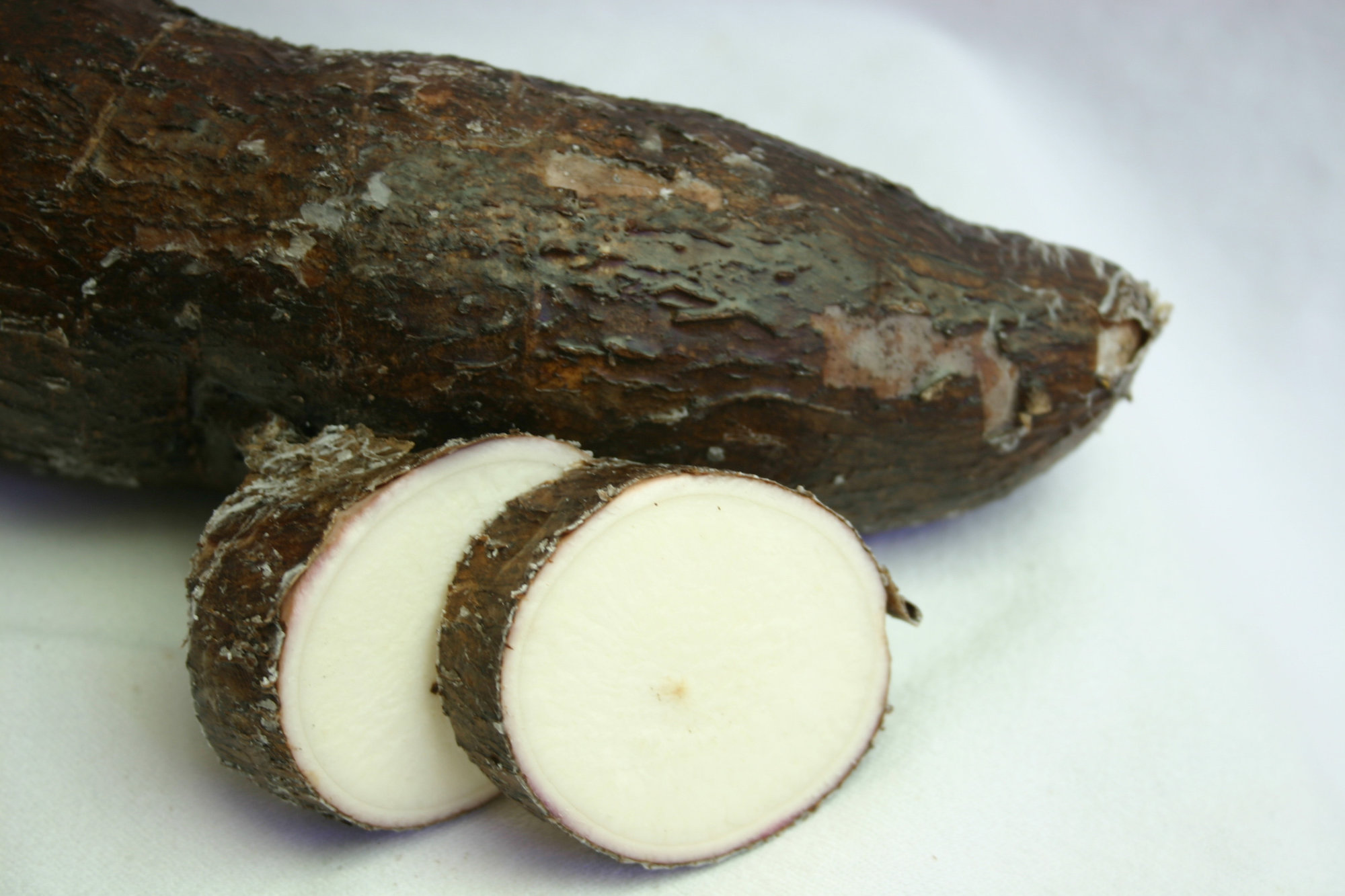 Yuca Root/cassava/manioc