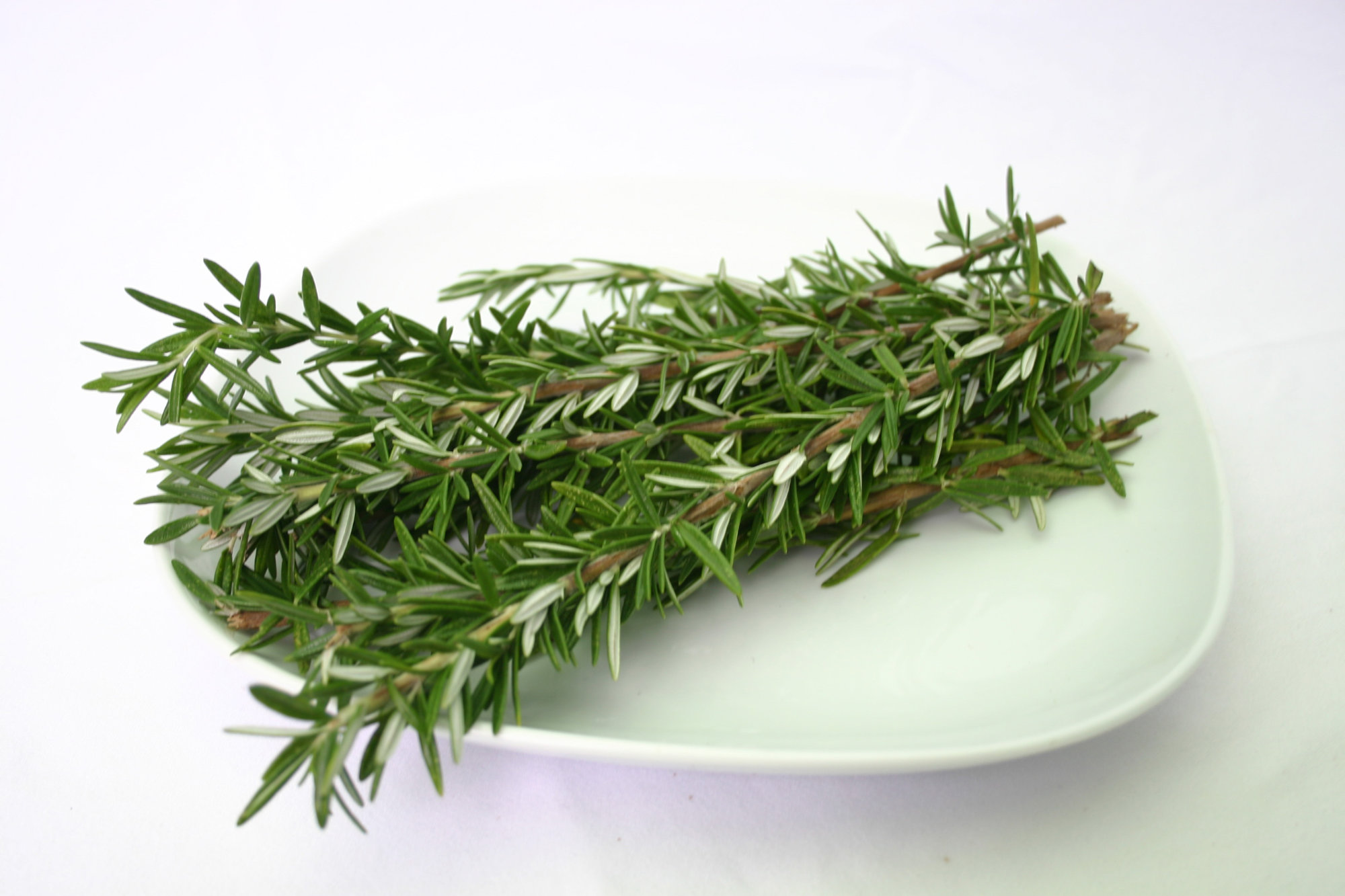 Rosemary