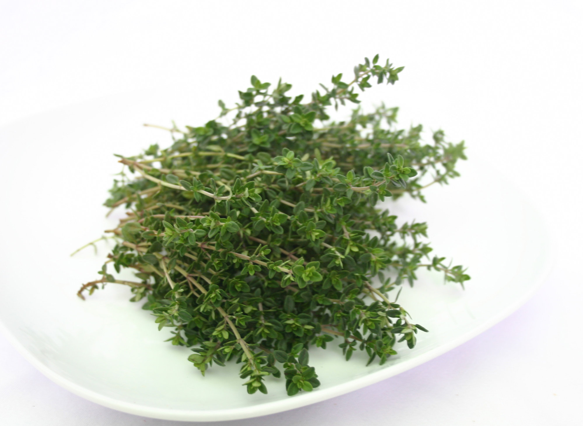 Thyme